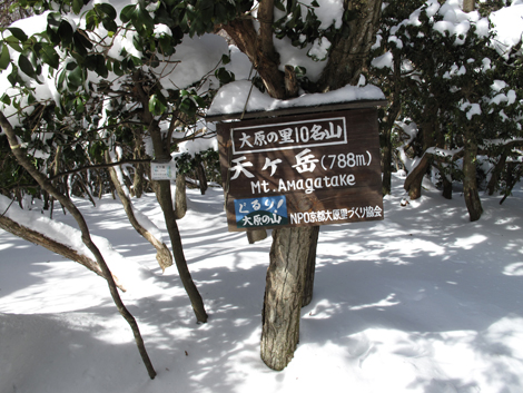 20140211hike (161)